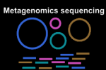 metagenomics amplicon